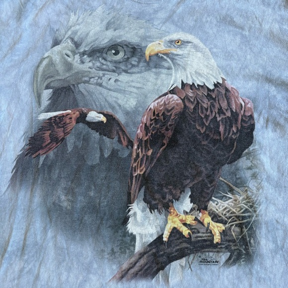 The Mountain Eagle T-Shirt - Picture 2 of 4